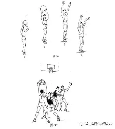 哪里可以找到关于减轻篮球训练压力的方法?_1